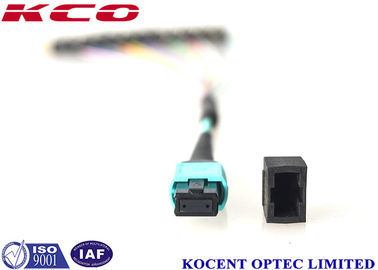 0.35dB 60dB OM3 OM4 MPO MTP Patch Cord MPO Fiber Optic Patch Cord for 10G 40G 100G 200G Networks