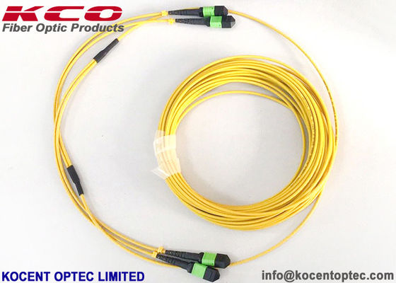 MPO APC 24fo 48cores G657A1 Elite Ekleme Kaybı MTP Fiber Optic Trunk Patch Kablosu