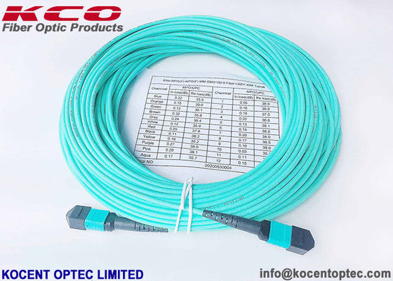 OM4 MPO MTP Patch Cord 16fo 24fo Low IL 0.35dB MPO Fiber Patch Cable for 40G 100G Networks